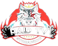 Raid TV Streaming